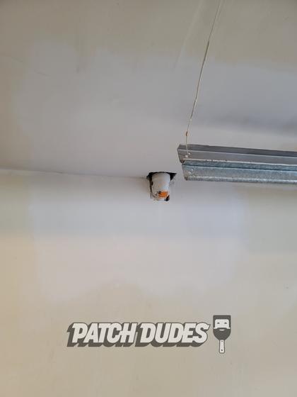 Ceiling Drywall Repair