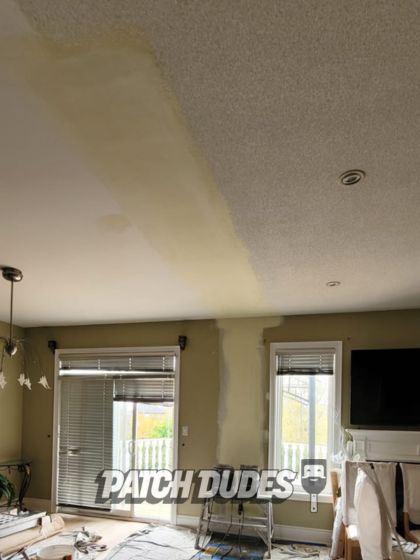 ceiling and drywall patching
