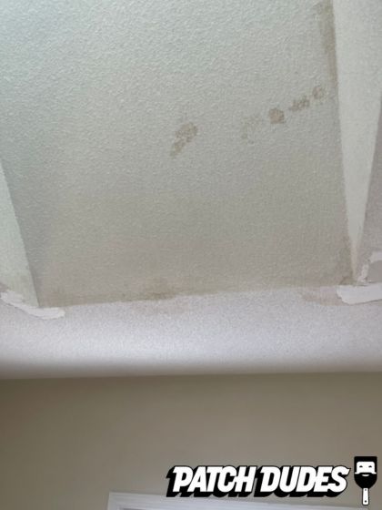 Patch Dudes Project Images 1