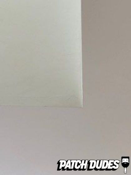 Patch Dudes Project Images 1