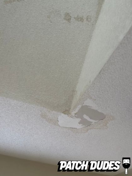 Patch Dudes Project Images 1