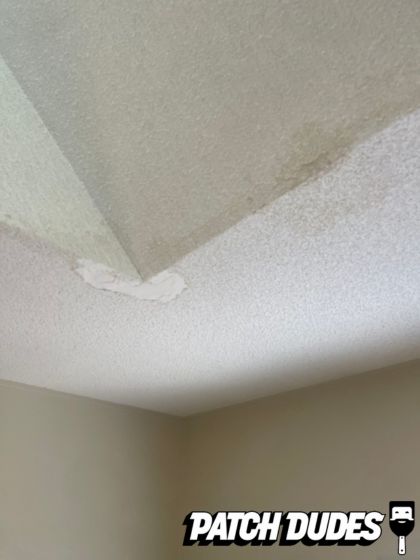 Patch Dudes Project Images 1