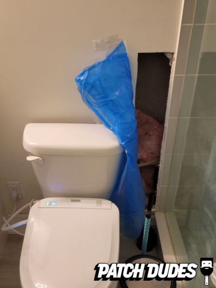 Patch Dudes Project Images 3